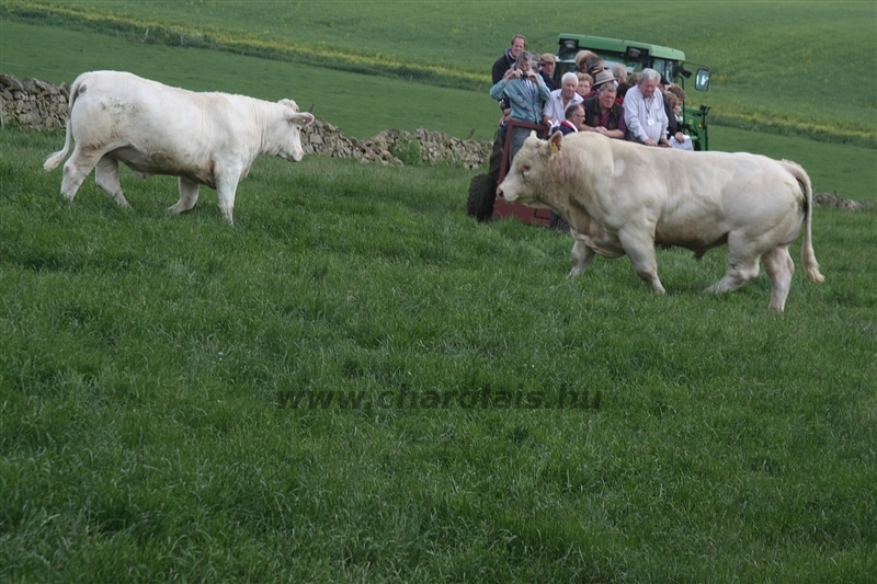 WCC Nagy-Britannia 2012 - Helge